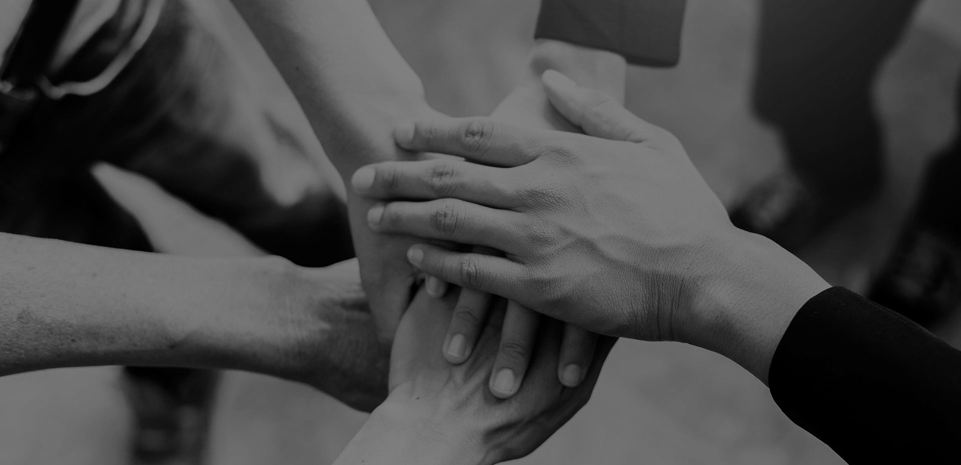 Transformación Organizacional